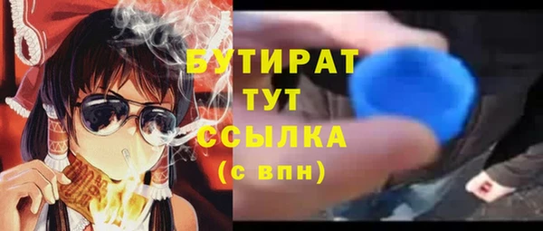 соль ск Дмитриев