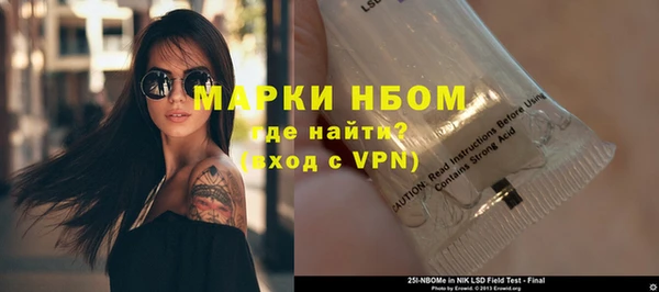 амф Гусиноозёрск