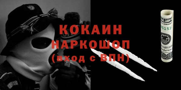соль ск Дмитриев
