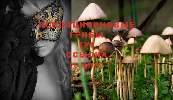 mdma Дмитров