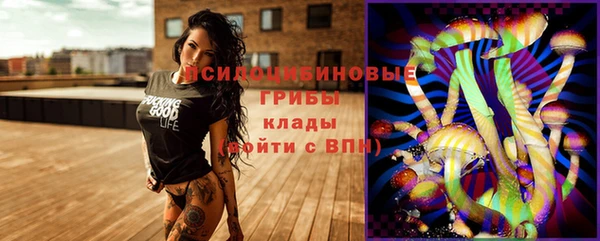 амф Гусиноозёрск