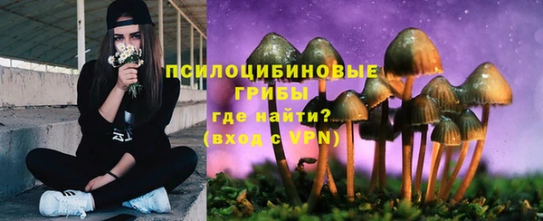соль ск Дмитриев