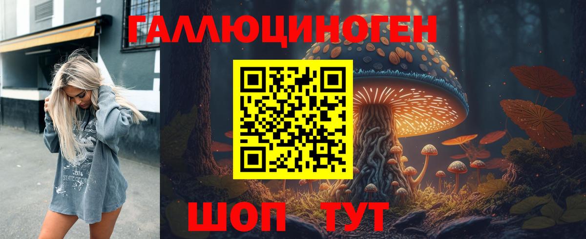 Псилоцибиновые грибы Psilocybe Черкесск