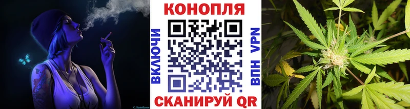 Бошки Шишки THC 21%  кракен   Черкесск  купить  сайты 